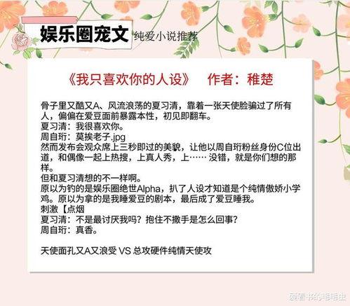 娱乐圈小说爆料,揭秘明星背后的秘密与爱恨情仇